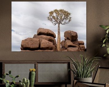 giants playground 2 von grossberger.photo