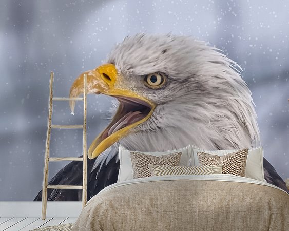 Voorbeeld van het werk in een kamer