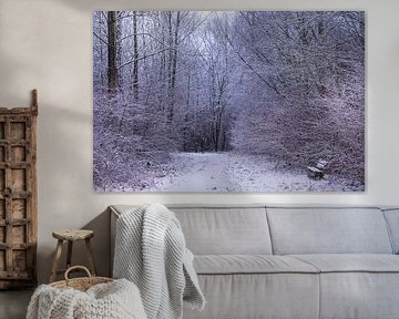 winter in het waerderhout bos 11