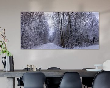 winter in het waerderhout bos 10