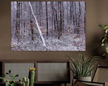 winter in het waerderhout bos 9