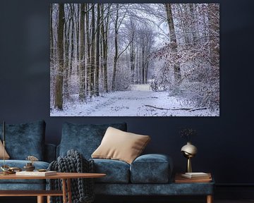 winter in het waerderhout bos 12