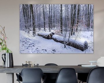 winter in het waerderhout bos 8