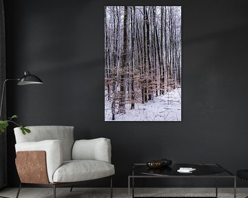 winter in het waerderhout bos 7