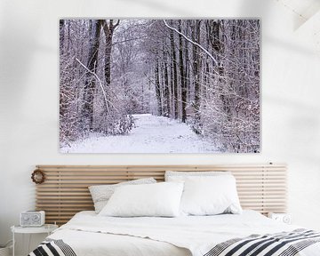 winter in het waerderhout bos 6