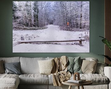 winter in the waerderhout forest 4 by peterheinspictures