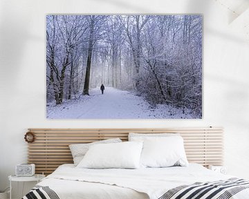 winter in het waerderhout bos 2