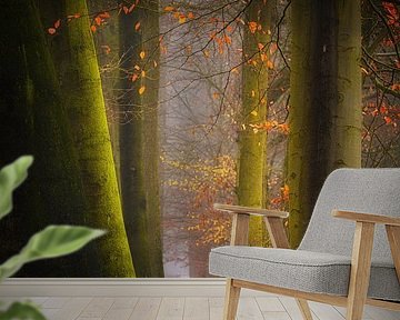 Herbstzauber . Herbstzauber .