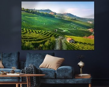 Green Terraced Barolo Vineyards of the Langhe Wine Region by Stefano Orazzini