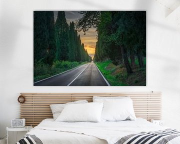 Sunset Journey through the Historic Bolgheri Cypress Road by Stefano Orazzini