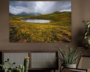 Kyrgyzstan's green valleys by Yvonne de Bondt