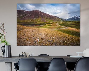 The colourful hills of Kyrgyzie by Yvonne de Bondt