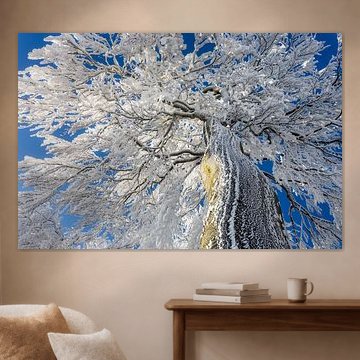 vereiste Baumkrone von Daniela Beyer