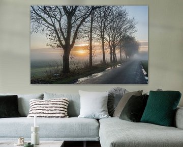 Nebliger Morgen im Polder