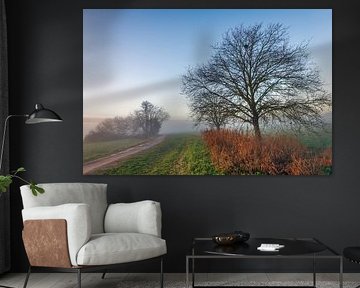 Nebliger Polder mit sandigem Weg