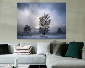 Winter Wonderland in Ermelo