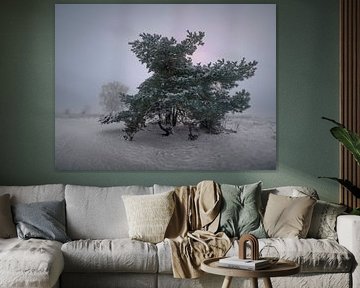 Winterwunderland in Ermelo von Eddy Westdijk