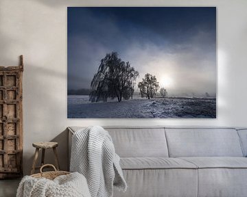 Winter Wonderland in Ermelo