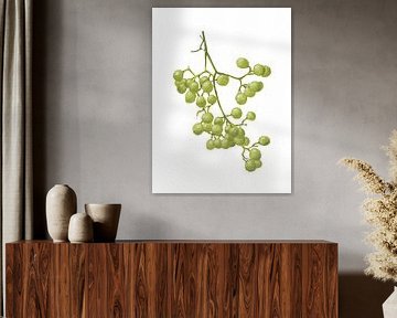 Yellow Peppercorns - Botanical Study II