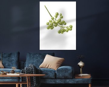 Yellow Peppercorns - Botanical Study II