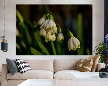 Erste Frühlingssonne: Frische Frühlingslichter