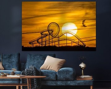 Tijger en schildpad, Duisburg, Noordrijn-Westfalen, Duitsland van Alexander Ludwig