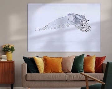 sneeuwuil in de sneeuw van Ina Hendriks-Schaafsma