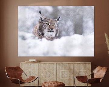 Luchs im Schnee von Ina Hendriks-Schaafsma