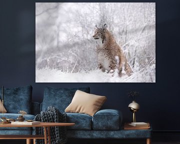 Luchs in Winterlandschaft von Ina Hendriks-Schaafsma