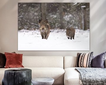 Schweine im Schnee von Ina Hendriks-Schaafsma