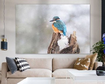 Kingfisher in the snow by Ina Hendriks-Schaafsma