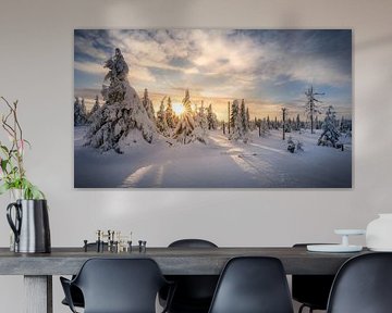 Fantastic winter weather with sunshine by Steffen Henze