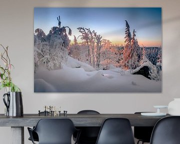 Morning winter atmosphere by Steffen Henze