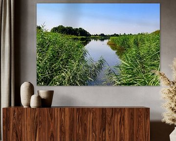 Limburg Serenity: rolling landscape