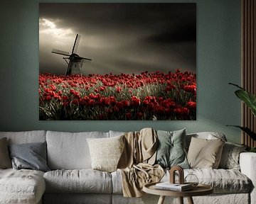 Storm over the Bulbs | Tulip field with windmill