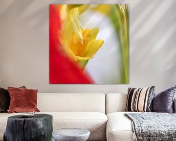 Abstract rendering of a yellow flower in a soft play of colours by Abstract on the move