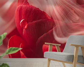 Panorama of a white veil of smoke over a red Ranunculus by Marjolijn van den Berg
