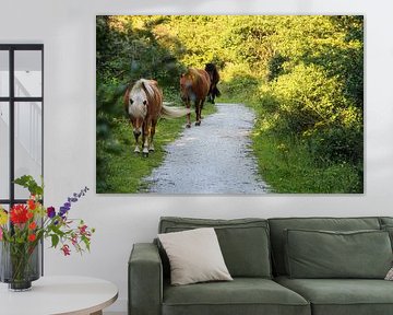 Horses walk along the footpath by whmpictures .com