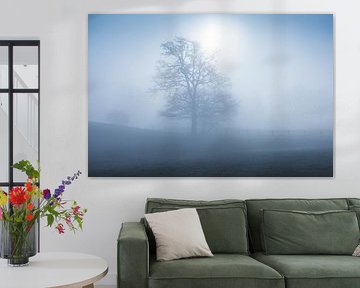 Foggy morning in the Belgian Ardennes with the sun breaking through. by Rob Christiaans