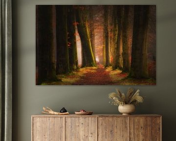 Magical Mastbos Breda .