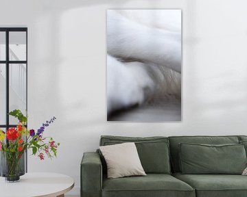 Detailfotografie - Hund