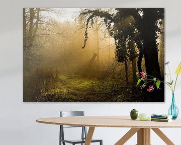 nebel-sonne-bäume von foto's van gijs