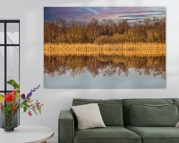 Rietkraag over het water.