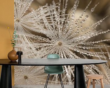 Fragile natural silence in a rural detail by Marjolijn van den Berg