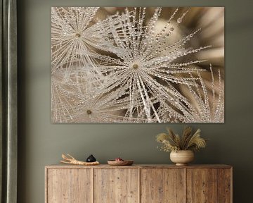 Fragile silence naturel dans un détail rural sur Marjolijn van den Berg