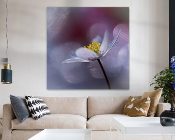 Seeanemone beim Sonnenbad von Marjo Van Oosten