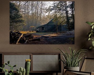 A Cabin Between Shadows and Light by Sebastian Stef