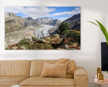 Aletsch Glacier Switzerland by van Veldhuisen Fotografie