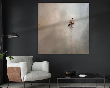 Butterfly On Wall by Nomo.Art