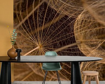 Rural natural simplicity: The lines of a Tragopogon by Marjolijn van den Berg